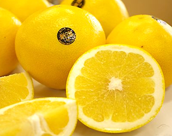 �����S�[���h