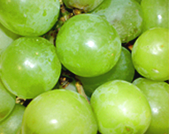 �A���Ԃǂ�