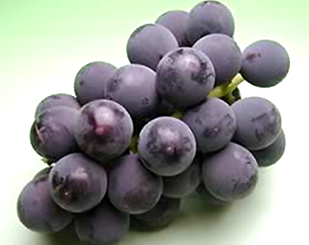 巨峰(きょほう)