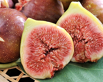 いちじく(無花果)