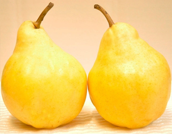 ���E���N�`�F