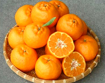 �|���J��