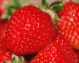 ���܂���