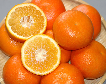 �ɗ\���i���悩��j