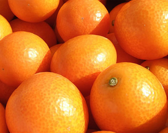 ���n���񂩂�