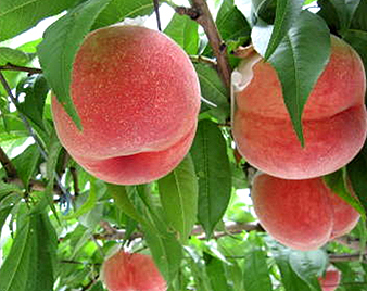 ���i�����j