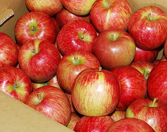 ������