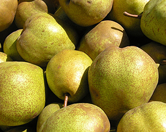 ���t�����X