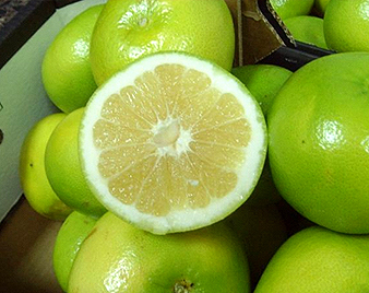 �X�C�[�e�B�[