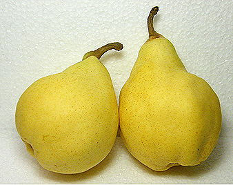 �����N�`�G