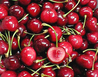 アメリカンチェリー