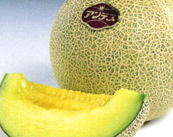 アンデスメロン