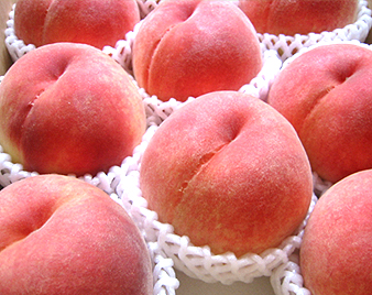 ���i�����j