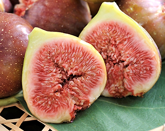 いちじく(無花果)