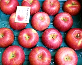 �V�i�m�X�C�[�g