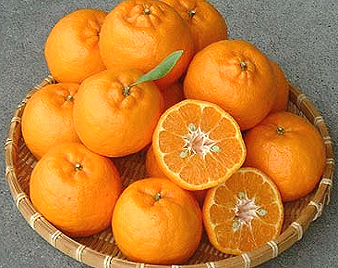 �|���J��