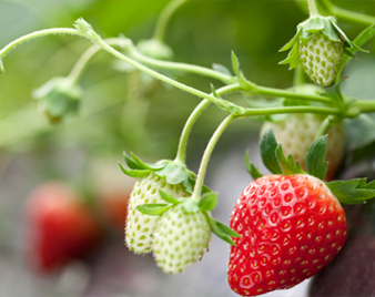 �Ƃ����Ƃ�