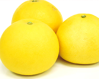 ���U�i�Ԃ񂽂�j