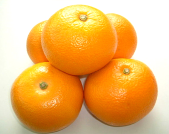 はっさく(八朔)