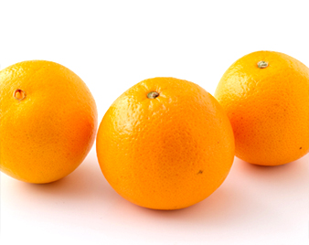 �l�[�u���I�����W