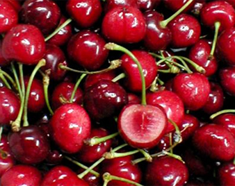 �A�����J���`�F���[