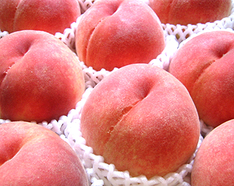 ���i�����j