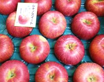 �V�i�m�X�C�[�g