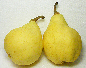 ���Y������