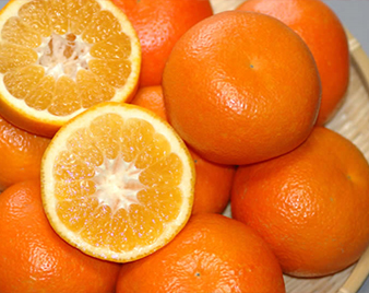 伊予柑(いよかん)