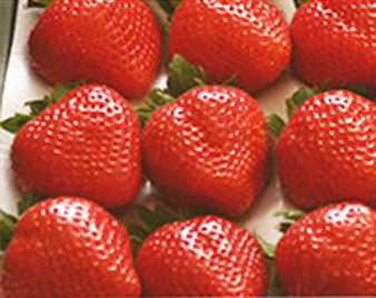 ���܂���