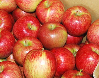 ������