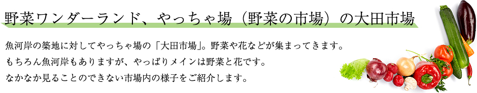 ��؃����_�[�����h�A��������i��؂̎s��j�̑�c�s�� ���݂͊̒z�n�ɑ΂��Ă�������́u��c�s��v�B��؂�ԂȂǂ��W�܂��Ă��܂��B������񋛉݂͊�����܂����A����ς胁�C���͖�؂ƉԂł��B�Ȃ��Ȃ����邱�Ƃ̂ł��Ȃ��s����̗l�q�����Љ�܂��B