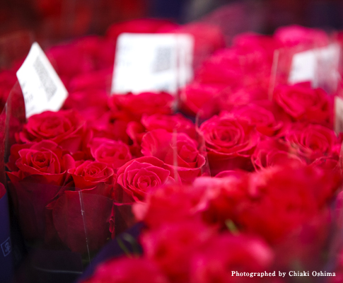 �Ԃ�������c�s��i�Ԃ����j���L��܂��B