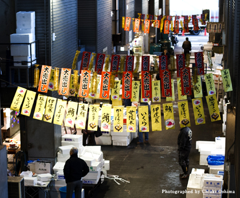 ������񋛂��������Y���i���s��j���L��܂��B