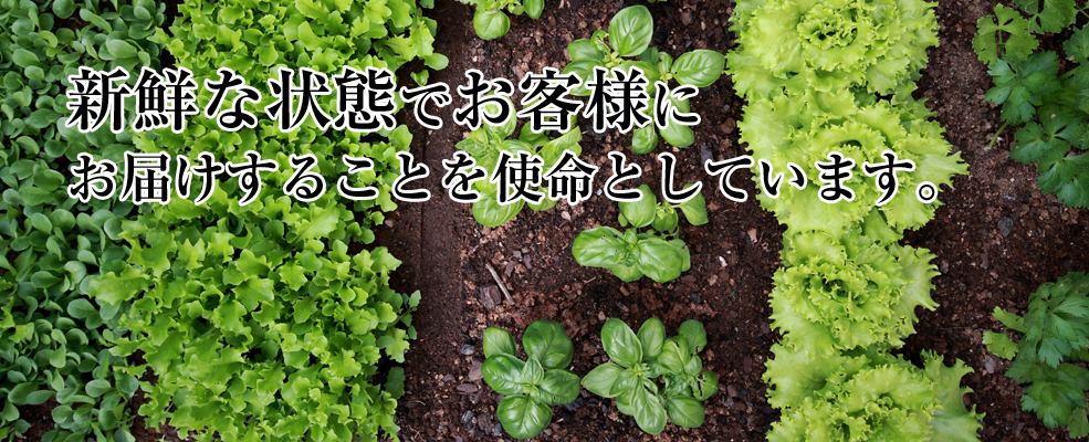 �V�N�ȏ�Ԃł��q�l�ɂ��͂����邱�Ƃ��g���Ƃ��Ă��܂��B