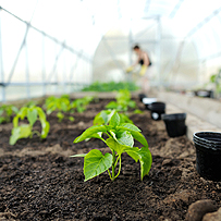 ��؂���Ă�l�̂��b