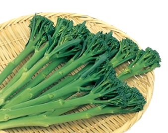 �X�e�B�b�N�Z�j���[���i�s�u���b�R���[�j