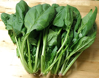 ほうれん草