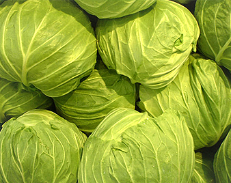 キャベツ