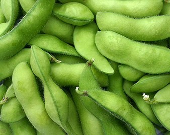 �}���i�����܂߁j