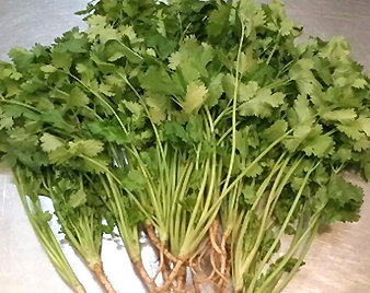 ���؁i�p�N�`�[�j