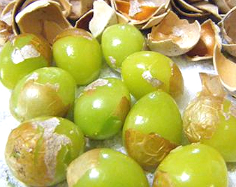 銀杏(ぎんなん)