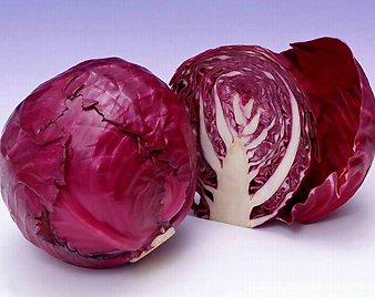 紫キャベツ