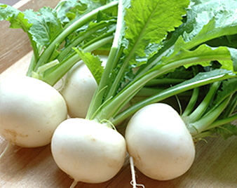 蕪(かぶ)