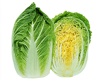 白菜