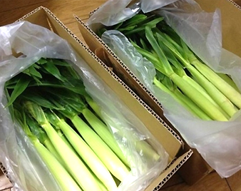 ��t�������O�R�[��