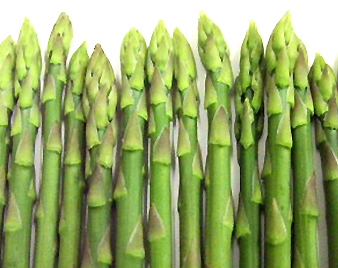 �~�j�A�X�p��