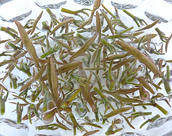 蓴菜(じゅんさい)