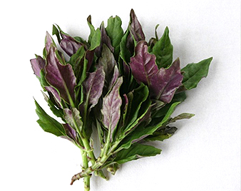 �������i���񂶂����j