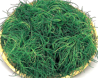 �����Ђ���